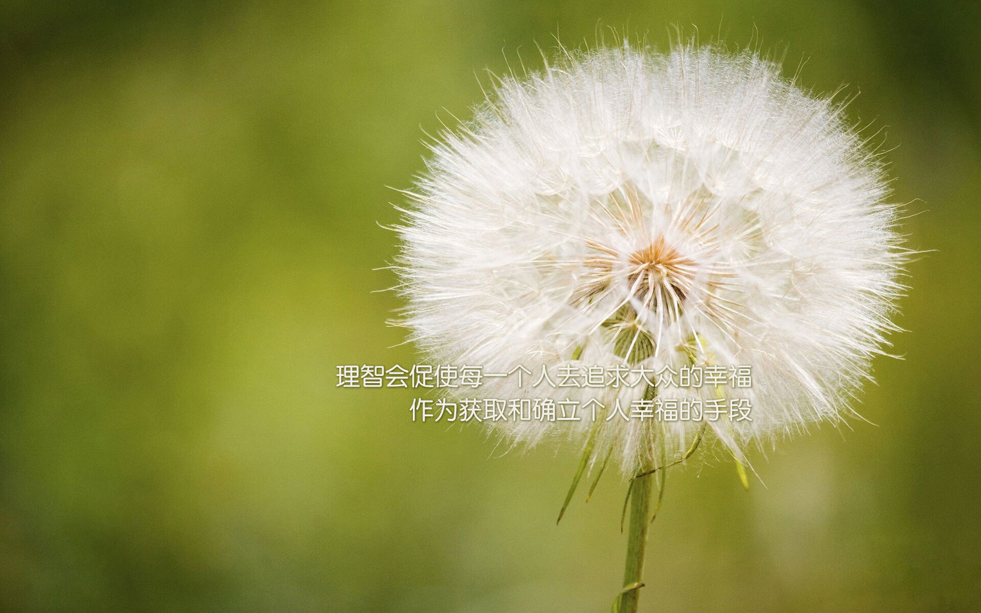 kaiyun登录入口-_凯尔特人持续领跑联盟，战绩笑傲群雄_，凯尔特人有谁