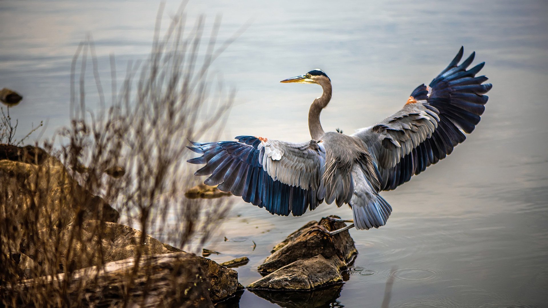 开云官网首页-墨西哥马术协会与欧洲马术协会签署合作协议，共同举办国际赛事。