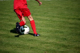 开云体育在线赛事直播-CBA球队完善伤病防护体系保障运动员健康和职业生涯，cba球员伤情报告